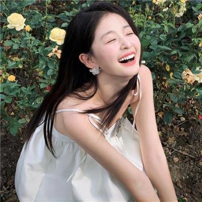 鸽之翼